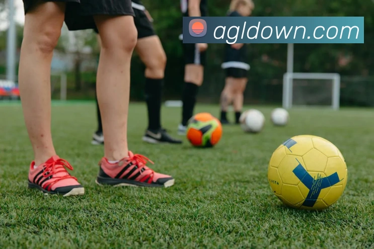 ag百家乐APP 高清赛事图