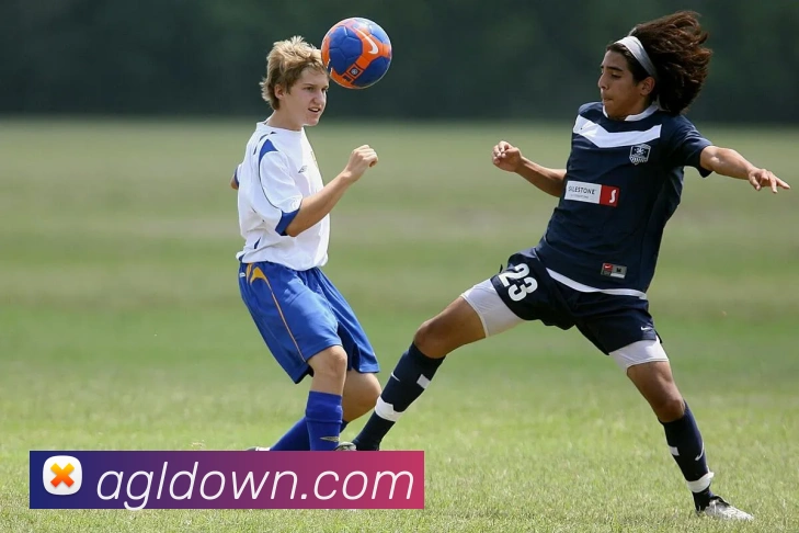 数据防护可视化